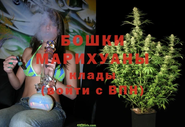ПСИЛОЦИБИНОВЫЕ ГРИБЫ Нея