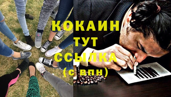 ПСИЛОЦИБИНОВЫЕ ГРИБЫ Нея