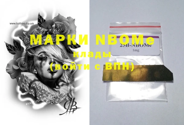 индика Беслан