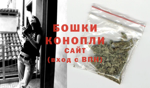 ПСИЛОЦИБИНОВЫЕ ГРИБЫ Нея